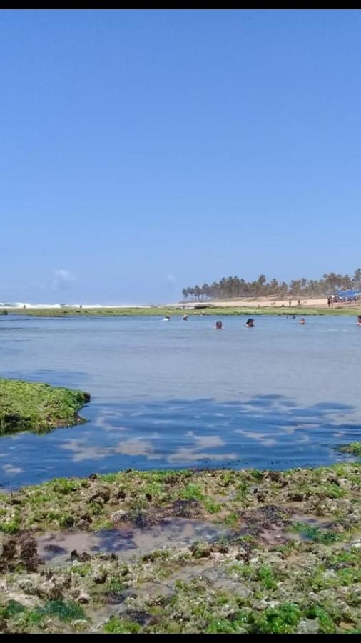 Toca Da Rapoza Otel Salvador da Bahia Dış mekan fotoğraf